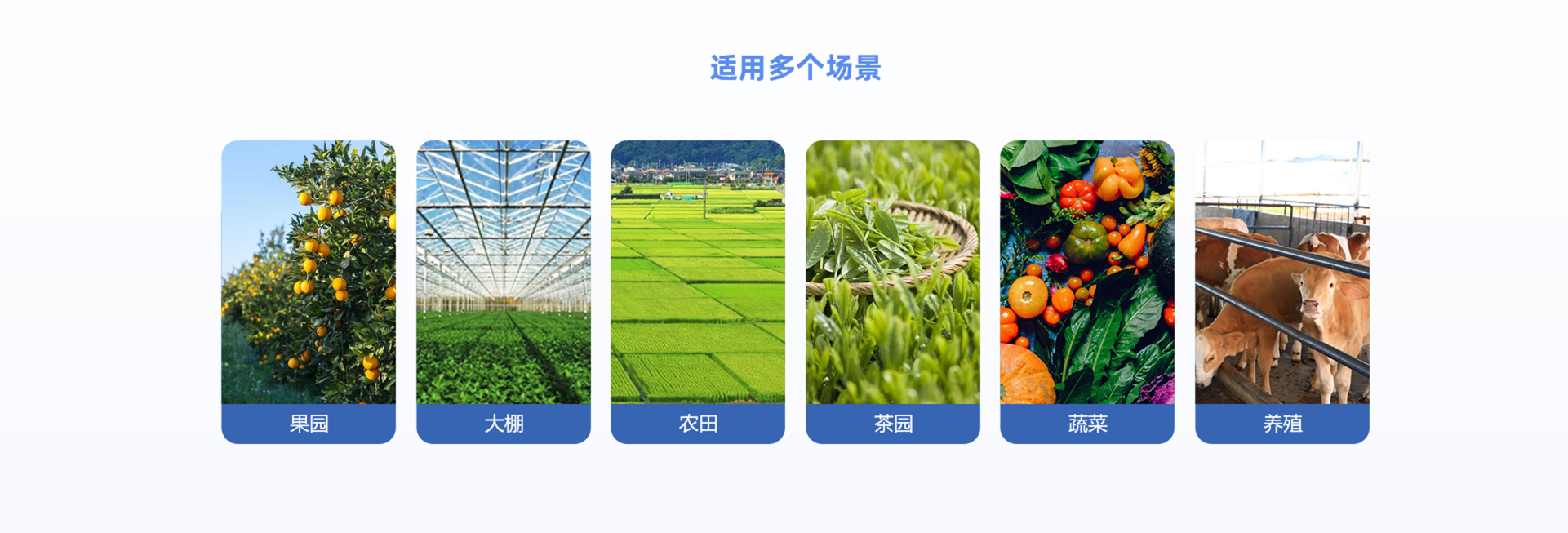 场景.png