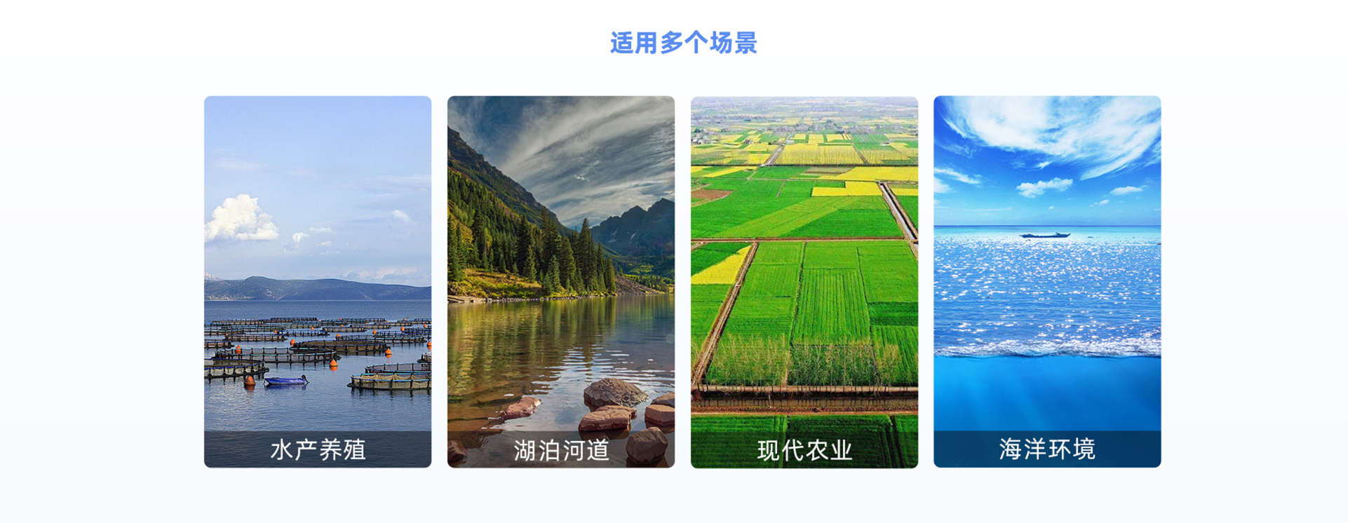 组 49.png