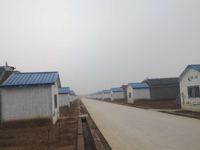 临邑县现代农业产业园日光温室高效生产基地提升项目