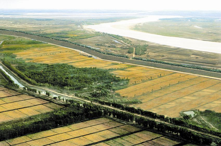 范县高标准农田