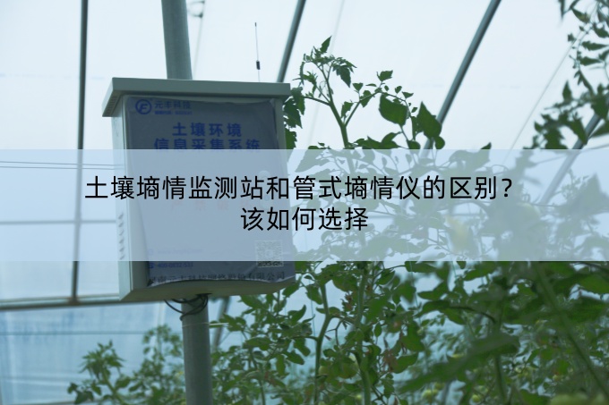 土壤墒情监测站和管式墒情仪